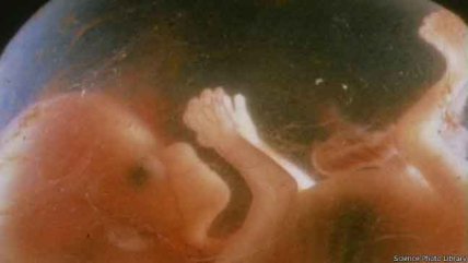  ¿Es posible diseñar seres humanos ecológicos?  