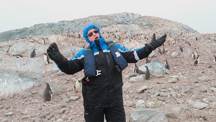   A los pingüinos no les gusta la ópera 