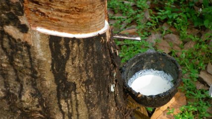   La Historia es Nuestra: La explotación laboral dando bote 