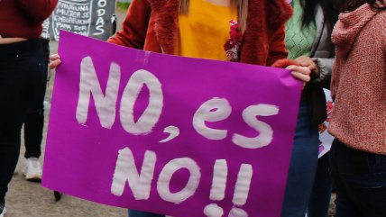   Ministra de la Mujer y juicio contra Martín Pradenas: Esperamos que haya justicia 