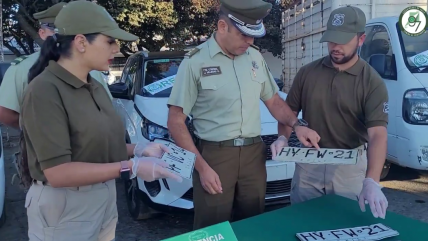   Recuperan en Ñuble autos robados en la Región Metropolitana 