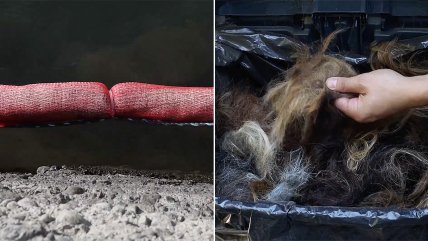   Proyecto chileno limpia agua contaminada utilizando cabello 