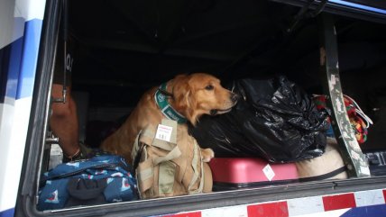   Estrictas fiscalizaciones en terminales de buses por Navidad 