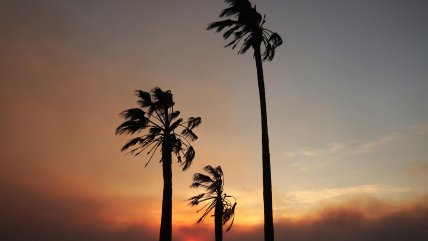   Incendios en Los Ángeles: Cinco fallecidos y 100 mil evacuados 