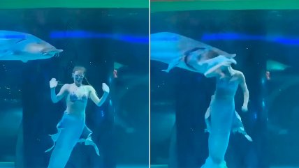   Enorme pez atrapó la cabeza de una 