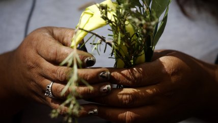   Este 13 de abril: ¿Qué es el Domingo de Ramos? 