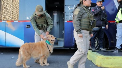   Chofer de bus dio positivo a cocaína en fiscalización previa a Semana Santa 