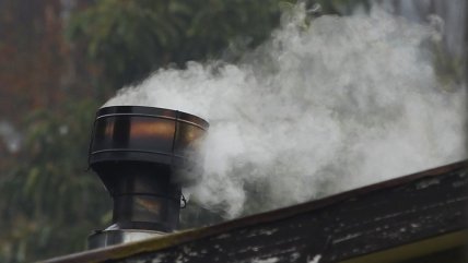   Experto en Medio Ambiente: El Estado debería aportar más para evitar el uso de leña 