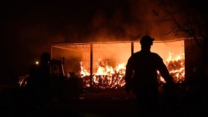  Incendios forestales dejan bomberos heridos y miles de evacuados en Grecia  
