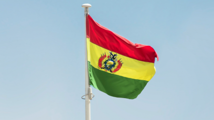   Analista: Tendríamos 