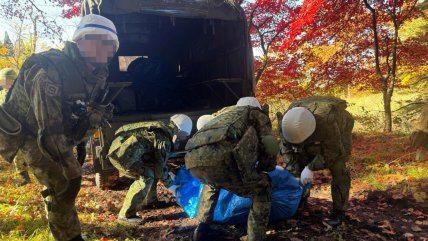  Japón refuerza medidas urgentes ante récord de ataques de osos  