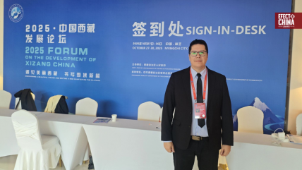   El escenario electoral chileno y la disputa del 