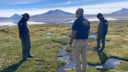   El grave daño ambiental en el Lago Chungará tras derrame de aceite de soya 