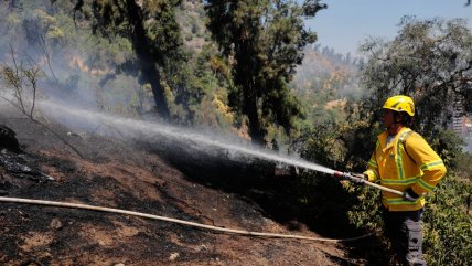   Senapred ordenó evacuación en Valparaíso debido a incendio forestal 