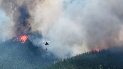   Incendios forestales arrasan más de 4.000 hectáreas en la Patagonia argentina 