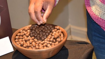  Proyecto chileno desarrolla cereal de amaranto como solución nutricional y climática  