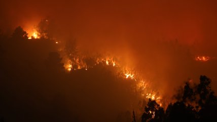  Incendios forestales en Ñuble: Combaten focos activos e investigan presunta negligencia  