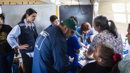   Incendios en Biobío: Gobierno anuncia inversión veterinaria de emergencia para comunas afectadas 
