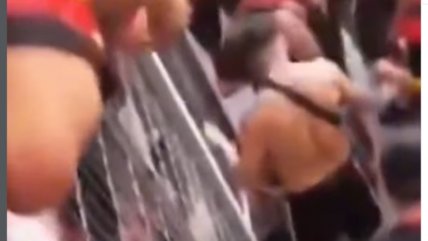   Violencia en el Clásico del Maule: Hinchas agredieron a infiltrado de Curicó en triunfo ante Rangers 