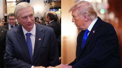   Experta por participación de Kast en 