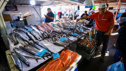   Semana Santa: Vendedores advierten que precios de pescados subirán por alza del combustible 