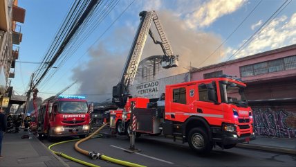  Concepción: Incendio en Galería Las Palmas deja más de 10 locales afectados  