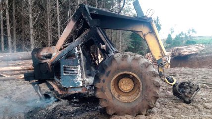  La Araucanía registra 14 ataques incendiarios durante el Gobierno del Presidente Kast  